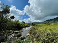 picture of a stream at knuckles sri lanka